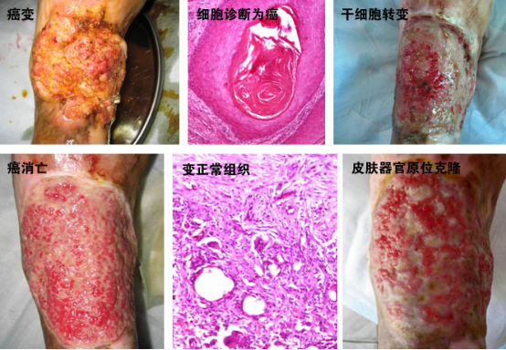 必发365(集团)兴趣网投天天必发