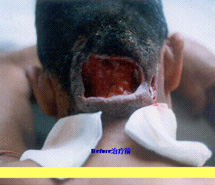 必发365(集团)兴趣网投天天必发