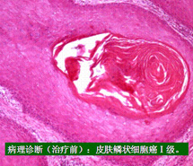 必发365(集团)兴趣网投天天必发