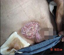 必发365(集团)兴趣网投天天必发