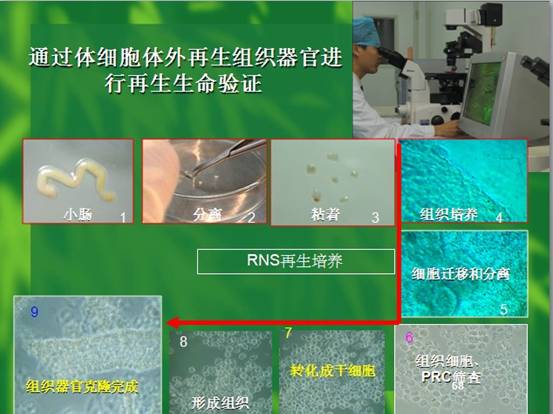 必发365(集团)兴趣网投天天必发