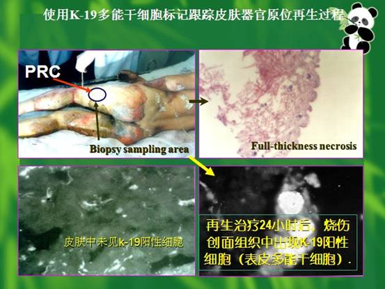 必发365(集团)兴趣网投天天必发