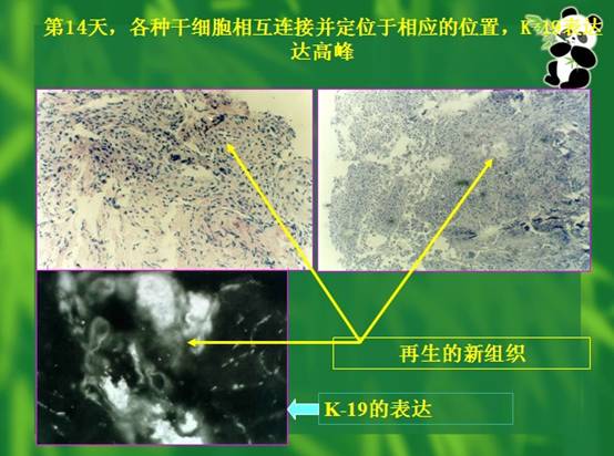 必发365(集团)兴趣网投天天必发
