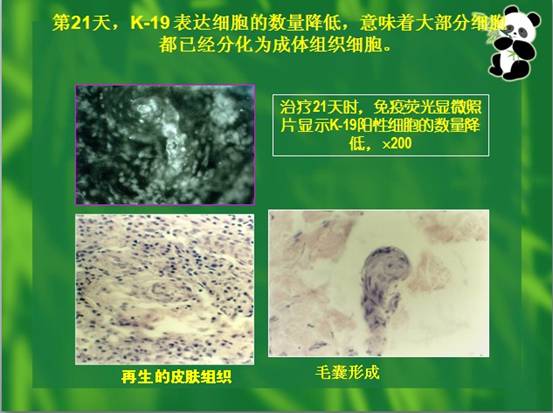 必发365(集团)兴趣网投天天必发