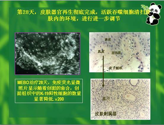 必发365(集团)兴趣网投天天必发