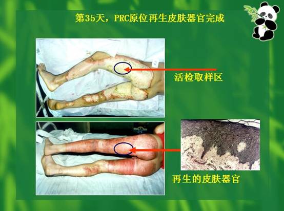 必发365(集团)兴趣网投天天必发