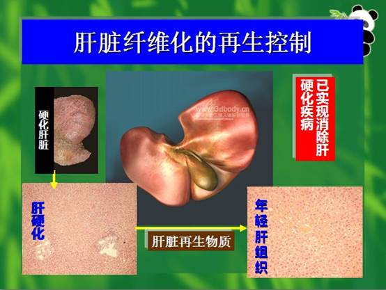 必发365(集团)兴趣网投天天必发