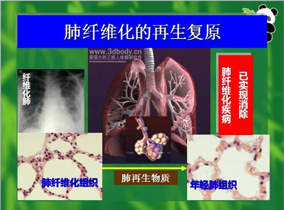 必发365(集团)兴趣网投天天必发