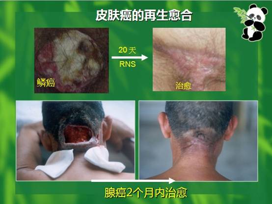 必发365(集团)兴趣网投天天必发