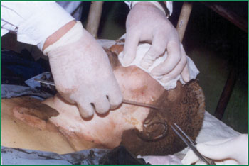 必发365(集团)兴趣网投天天必发