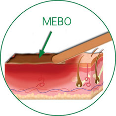 必发365(集团)兴趣网投天天必发