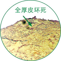 必发365(集团)兴趣网投天天必发