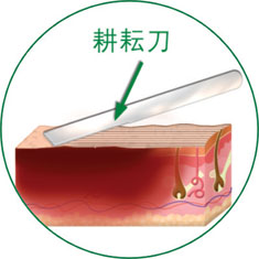 必发365(集团)兴趣网投天天必发