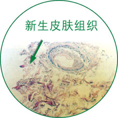 必发365(集团)兴趣网投天天必发