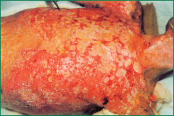 必发365(集团)兴趣网投天天必发