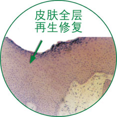 必发365(集团)兴趣网投天天必发