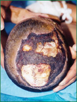 必发365(集团)兴趣网投天天必发