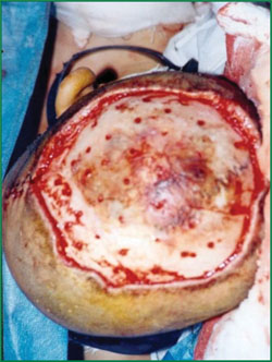 必发365(集团)兴趣网投天天必发