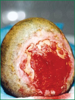 必发365(集团)兴趣网投天天必发