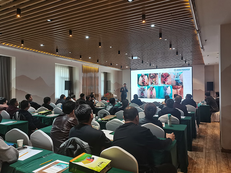 必发365(集团)兴趣网投天天必发