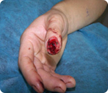 必发365(集团)兴趣网投天天必发